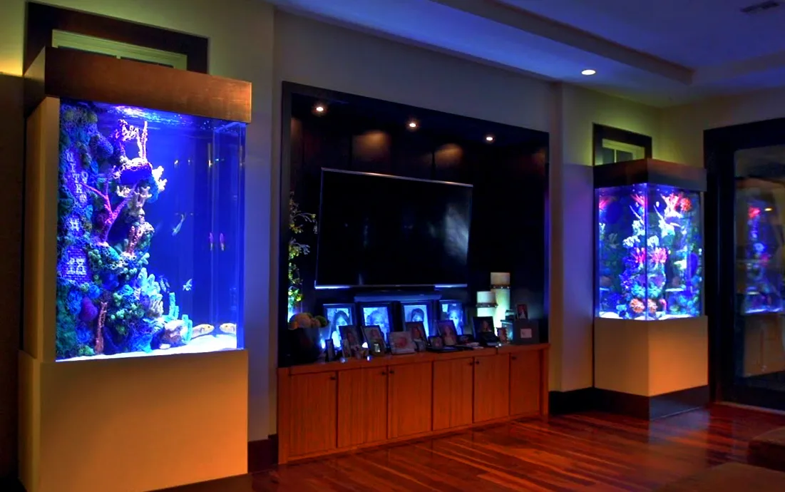 Two built-in illuminated aquariums in a residential media wall