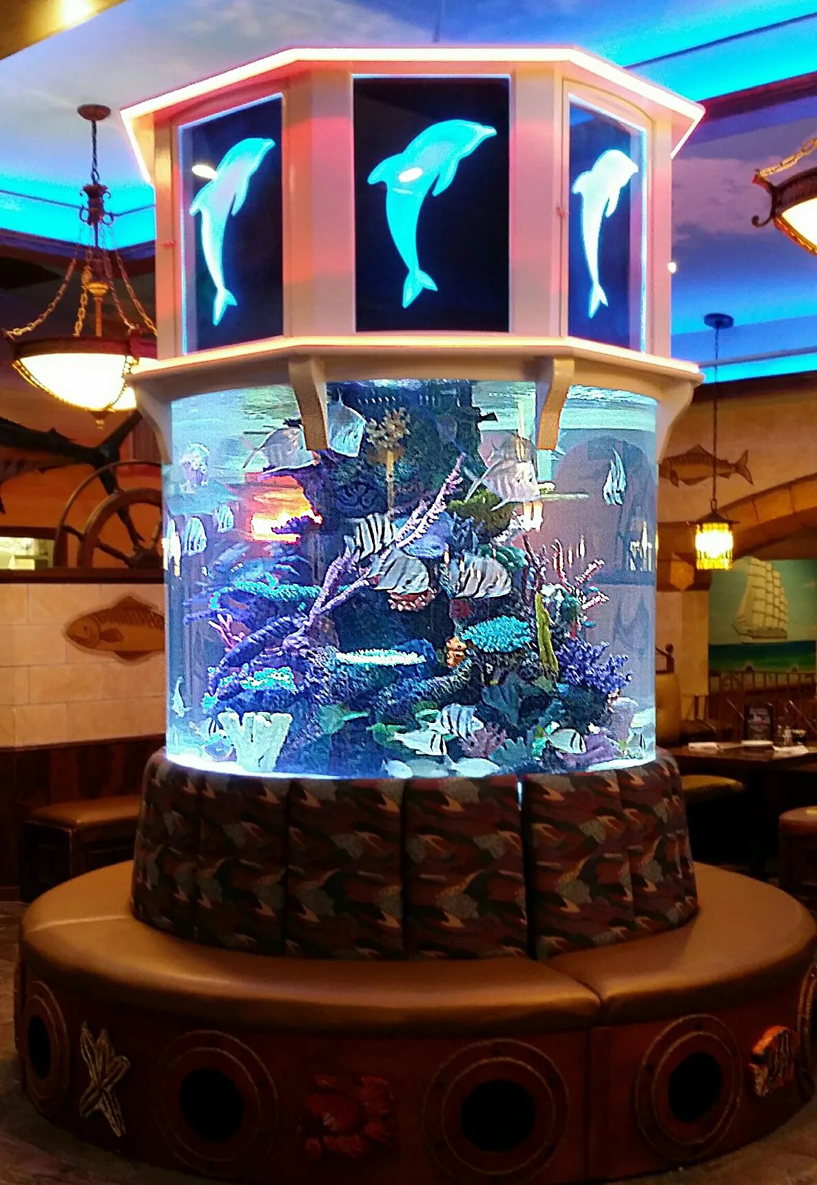 Large cylindrical custom aquarium in a restaurant interior